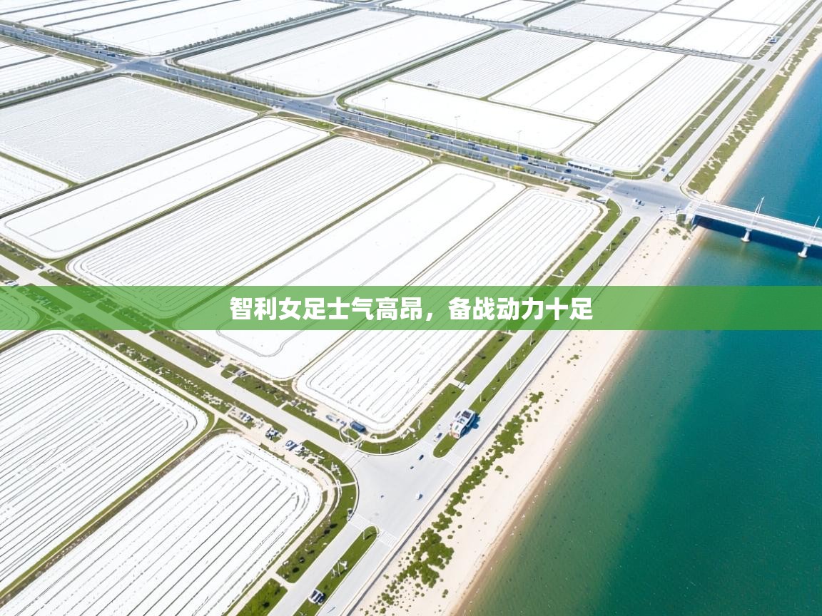 开云体育修改登录密码-智利女足士气高昂，备战动力十足