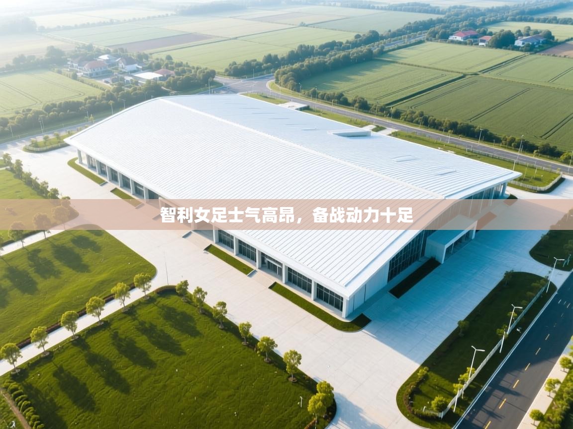 开云体育修改登录密码-智利女足士气高昂，备战动力十足