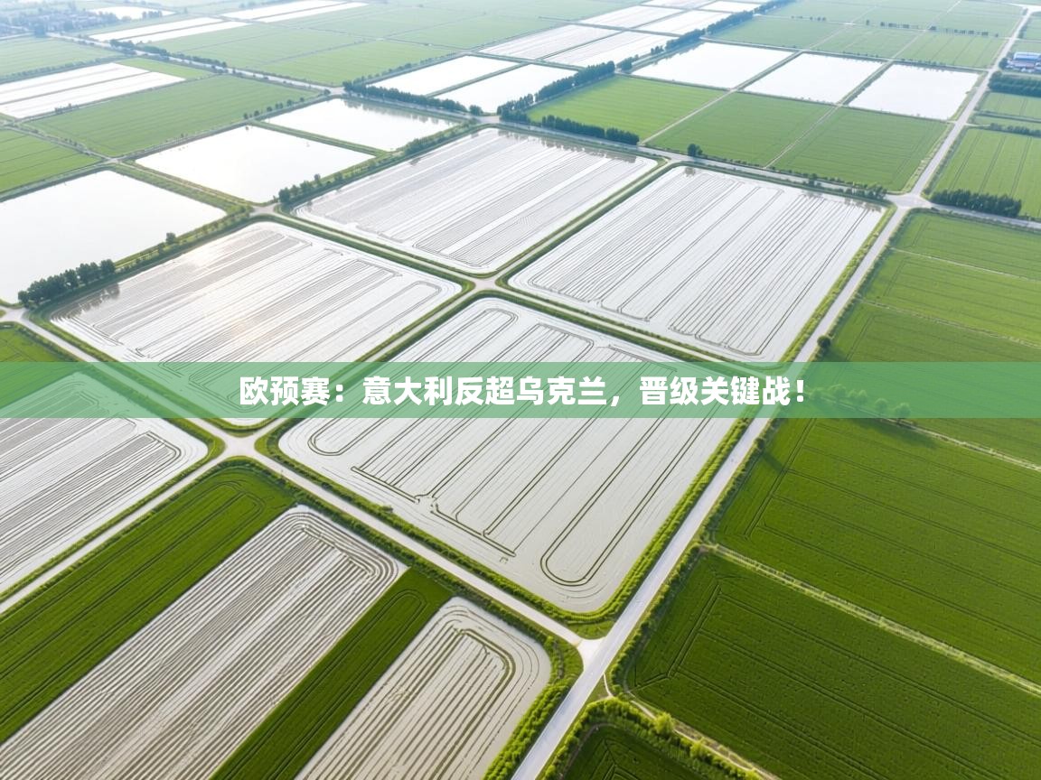 开云体育视频直播低延迟-欧预赛：意大利反超乌克兰，晋级关键战！  第3张